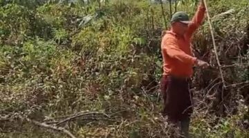 Konflik Agraria, Warga Dua Desa Desak Pemerintah Selesaikan Sengketa dengan PT Serdang Hulu